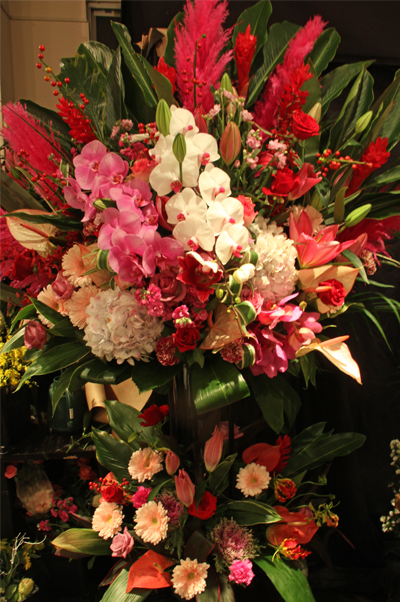 �X�^���h�� ��c��